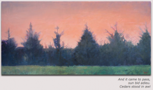 Cedars Watching Sunset