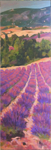 Provence Lavender